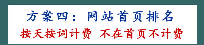 網(wǎng)站排名